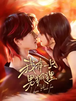 我有一只男狐狸