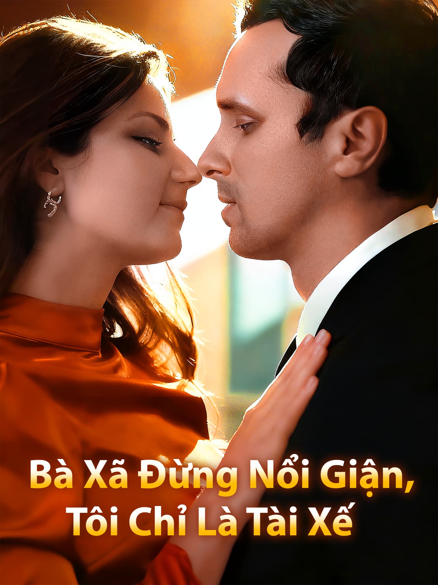 Bà Xã Đừng Nổi Giận, Tôi Chỉ Là Tài Xế