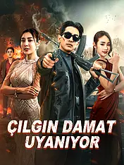 Çılgın Damat Uyanıyor kısa dizi kapağı (Kategorisi)