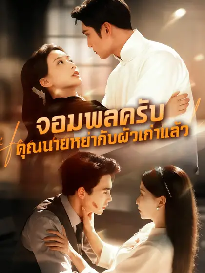 โปสเตอร์ จอมพลครับ คุณนายหย่ากับผัวเก่าแล้ว