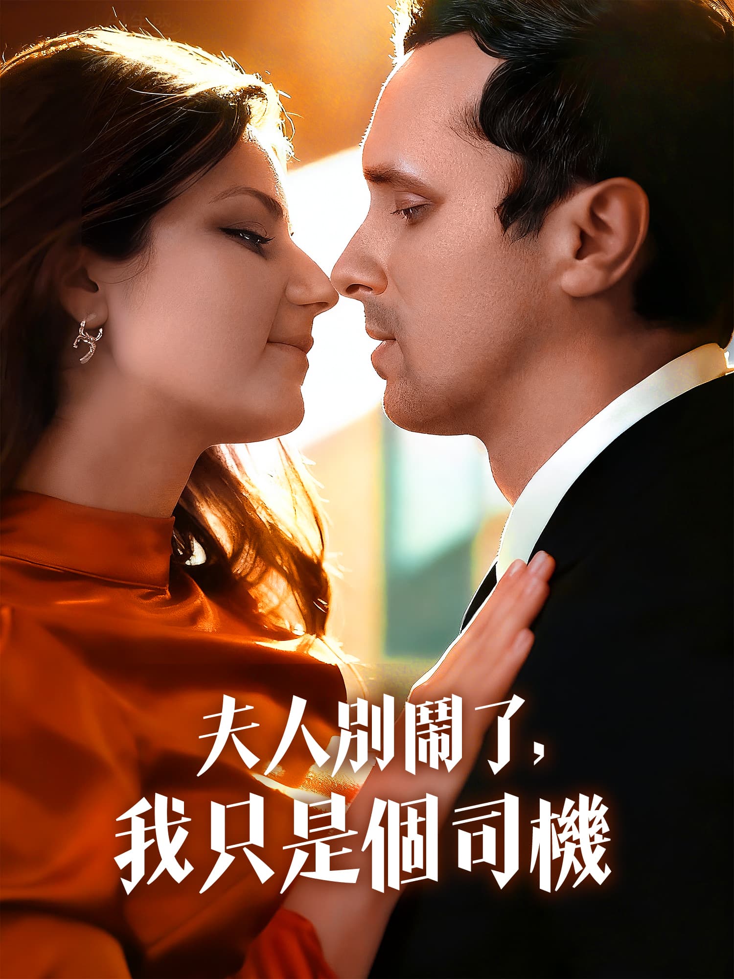 夫人別鬧了，我只是個司機