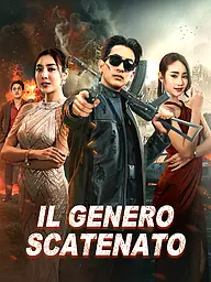 Copertina e Poster della Mini Serie Il Genero Scatenato