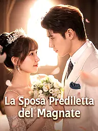 Copertina e Poster della Mini Serie La Sposa Prediletta del Magnate