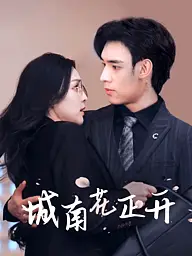 城南花正开 短剧封面与海报