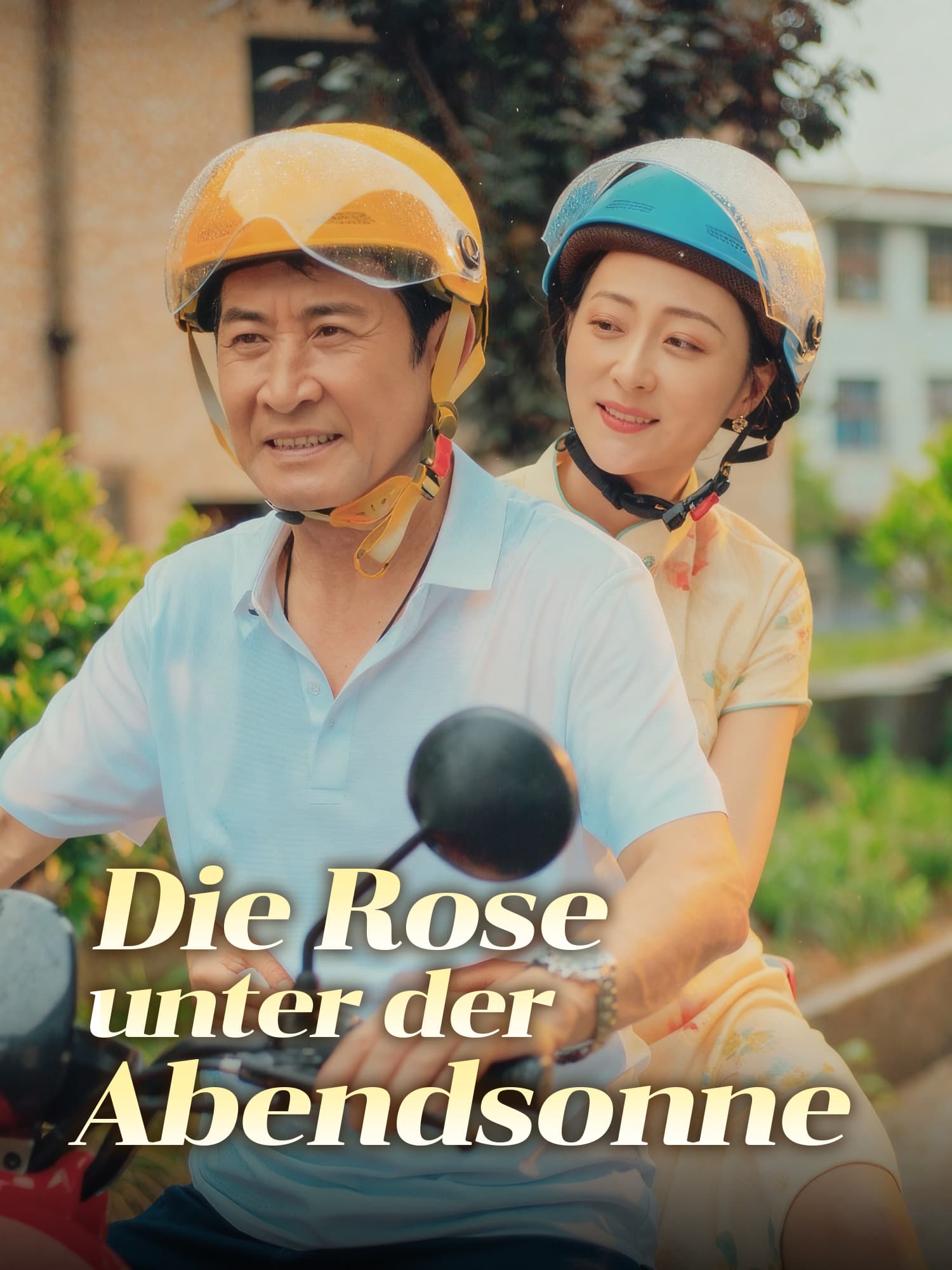 Die Rose unter der Abendsonne