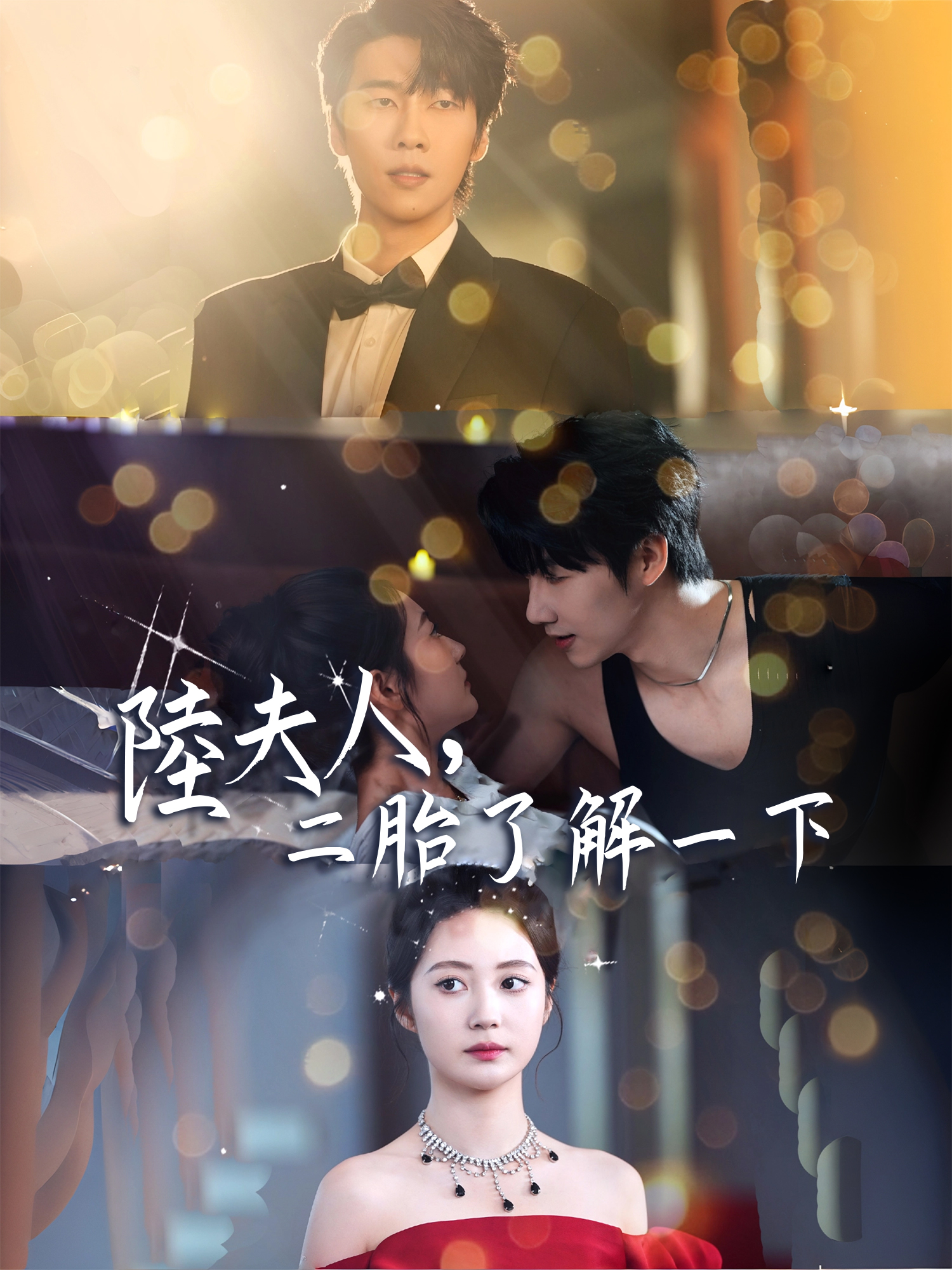 陸夫人，二胎了解一下