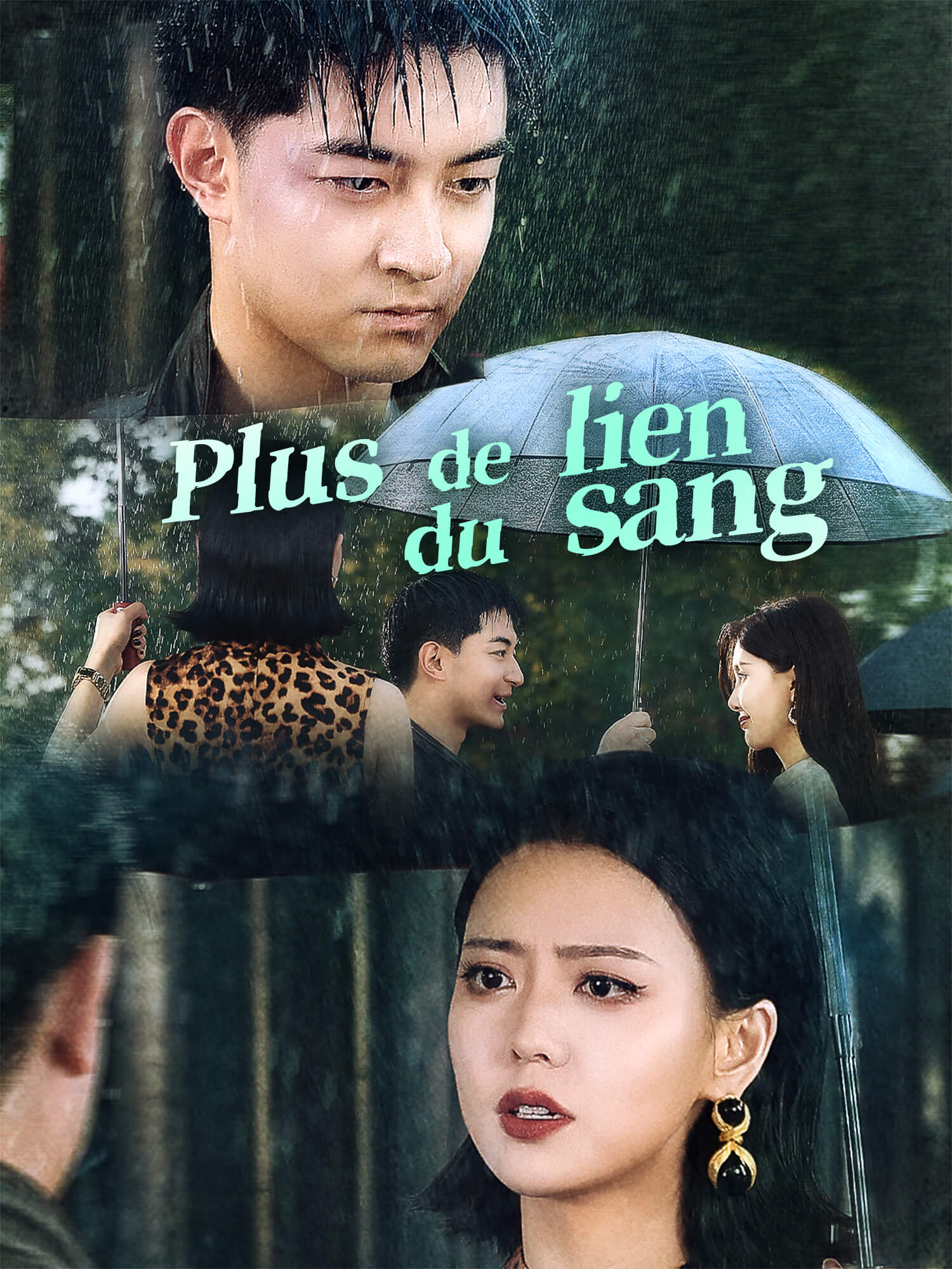 Affiche et Couverture de la Mini-série Plus de lien du sang