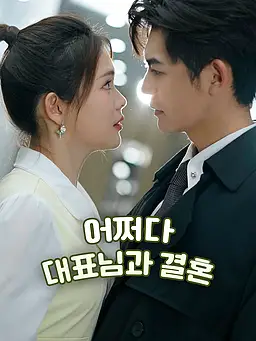 어쩌다 대표님과 결혼 온라인 시청 및 다국어 자막 제공