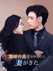 離婚弁護士を呼んだら妻がきた ショートドラマのポスター (縦型作品)