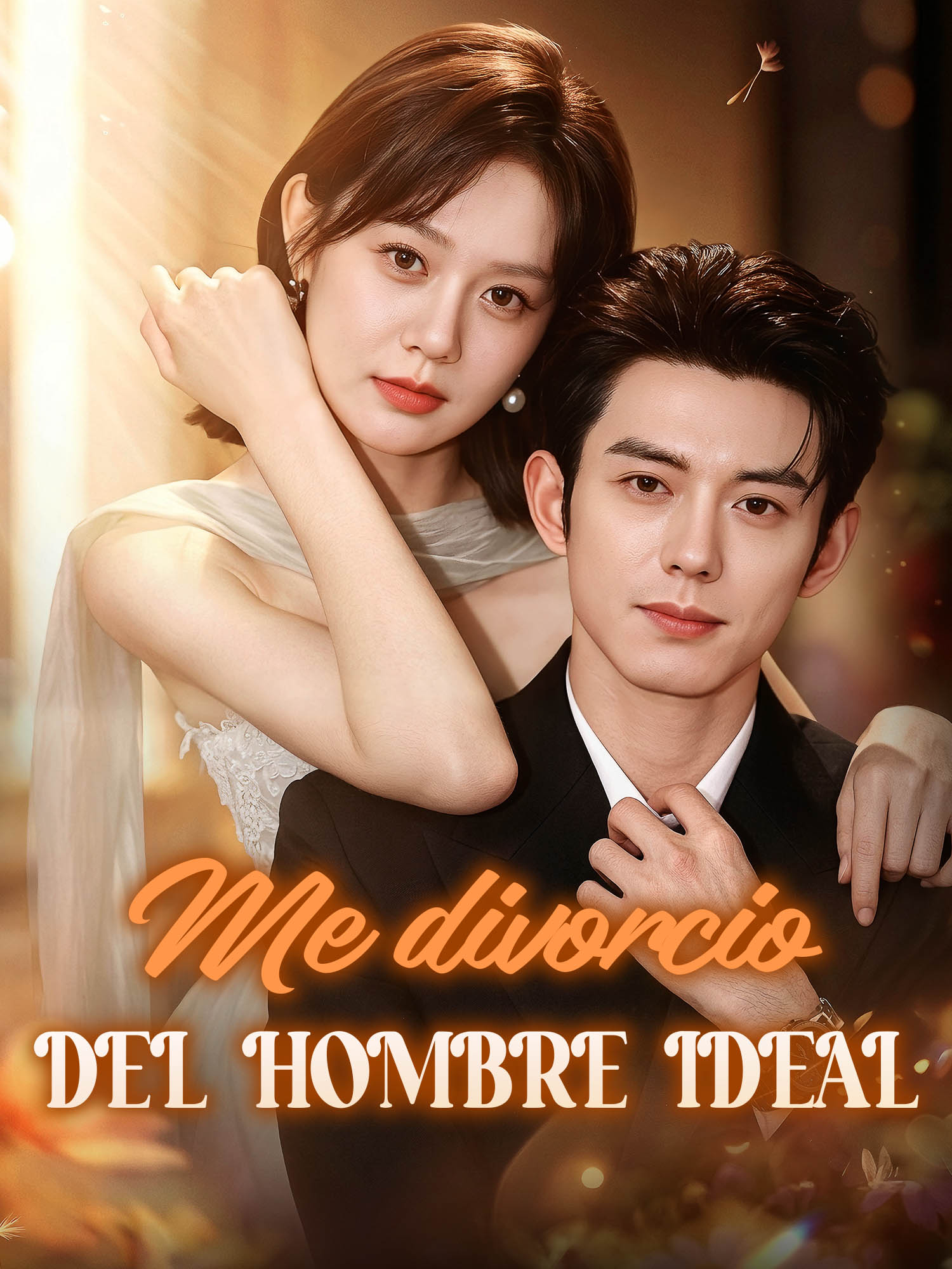 Me divorcio del hombre ideal