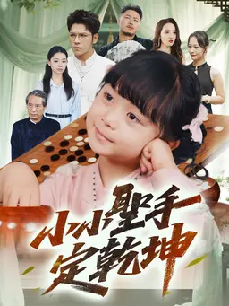 小小聖手定乾坤