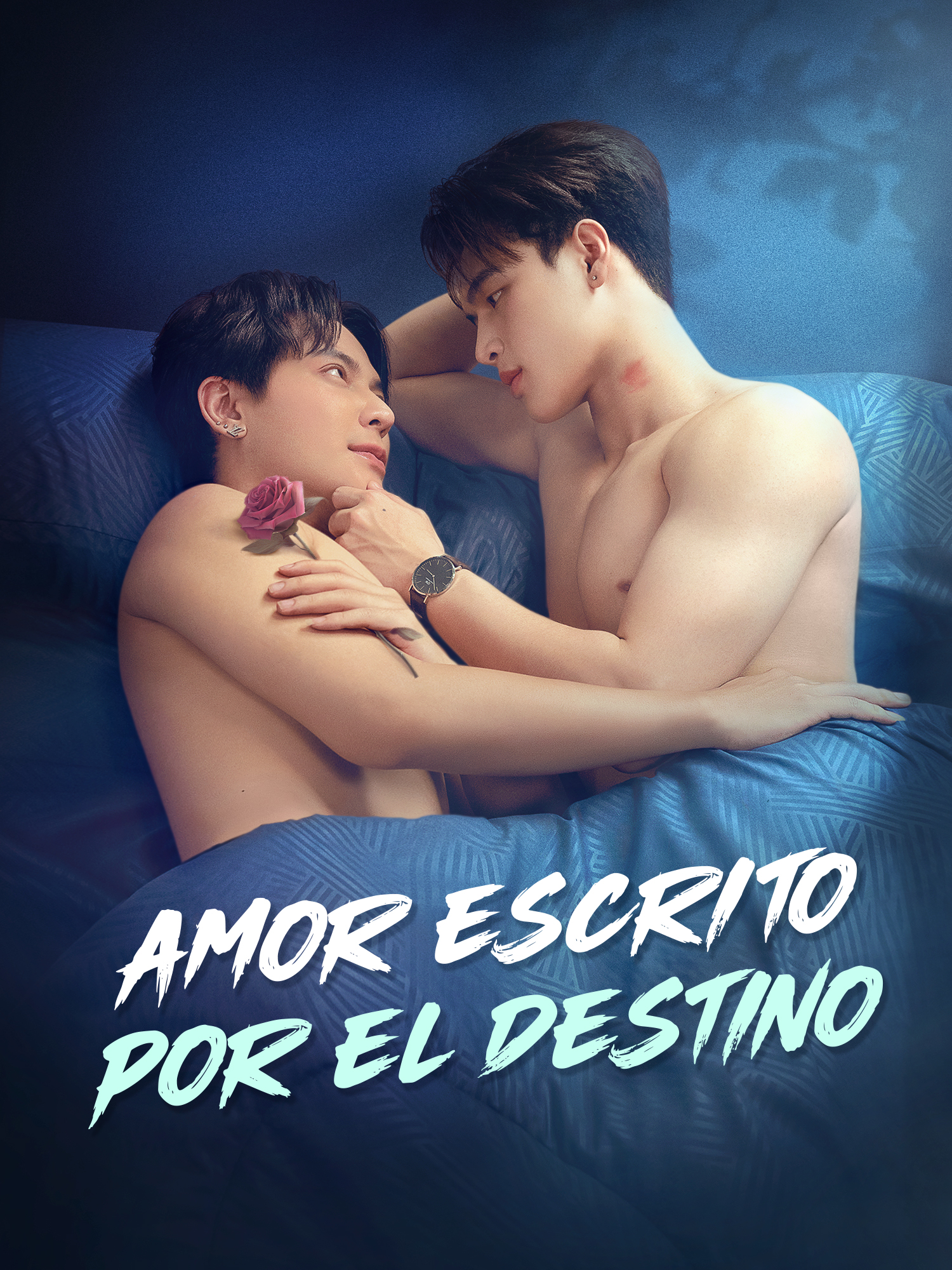 Portada y Póster de la Mini Serie Amor Escrito por el Destino