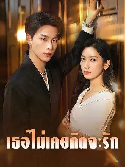 โปสเตอร์ เธอไม่เคยคิดจะรัก