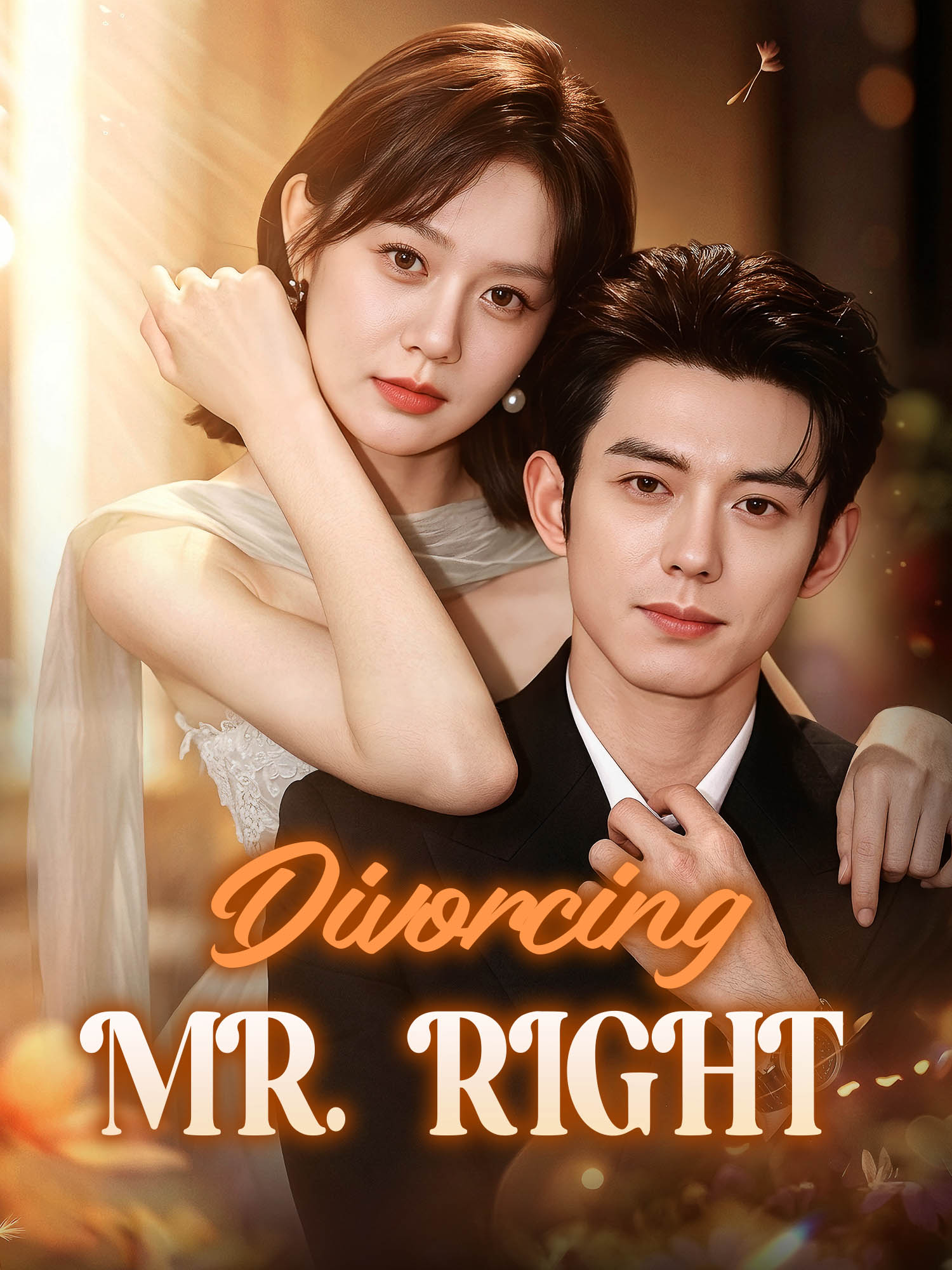 Divorcing Mr. Right