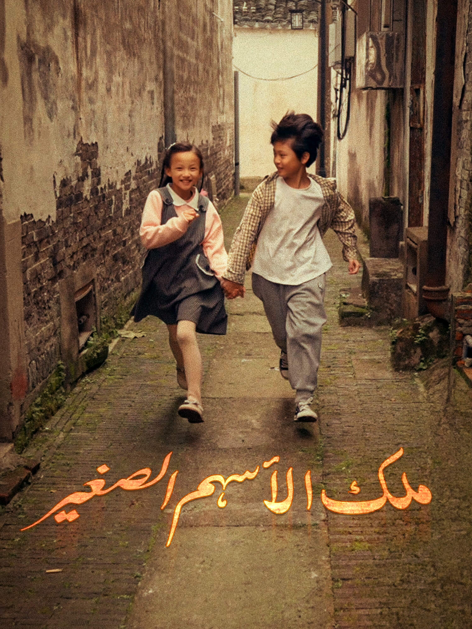 ملك الأسهم الصغير