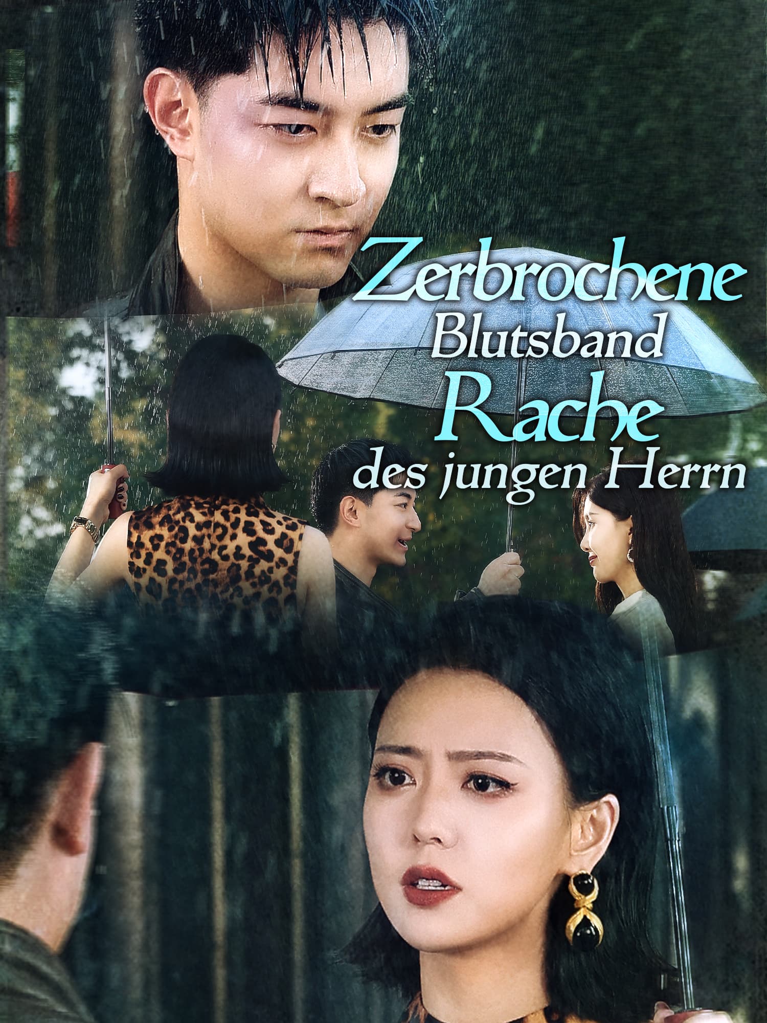 Zerbrochene Blutsband  Rache des jungen Herrn Kurzserie Cover & Poster