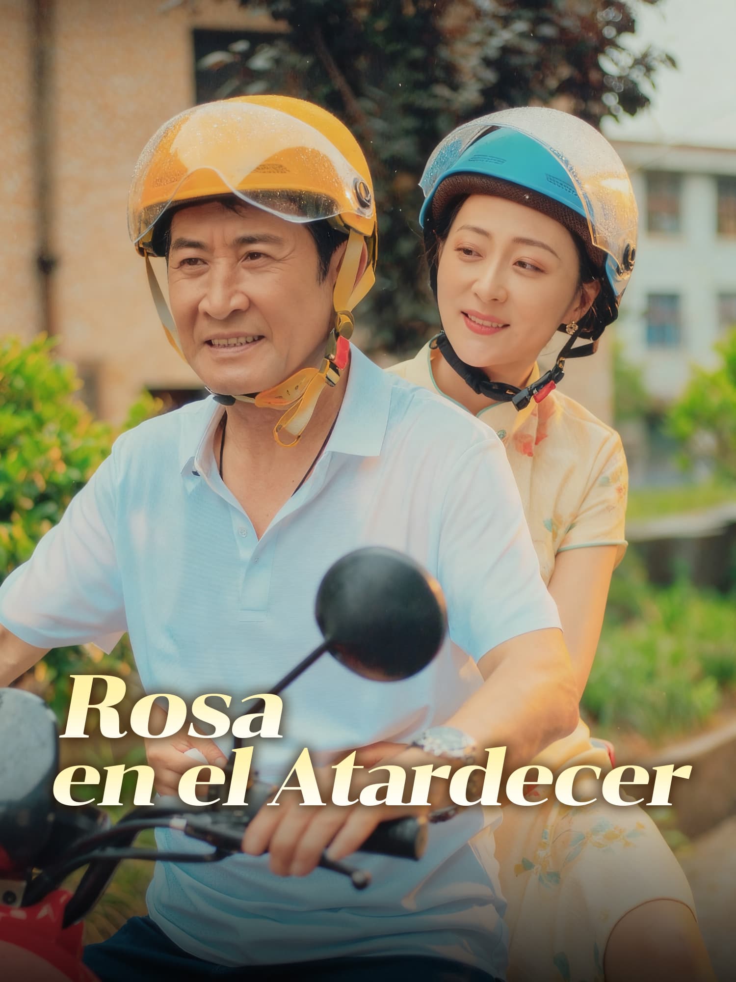 Rosa en el Atardecer