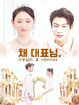 채 대표님, 사모님이 또 이혼하신대요 온라인 시청 및 다국어 자막 제공