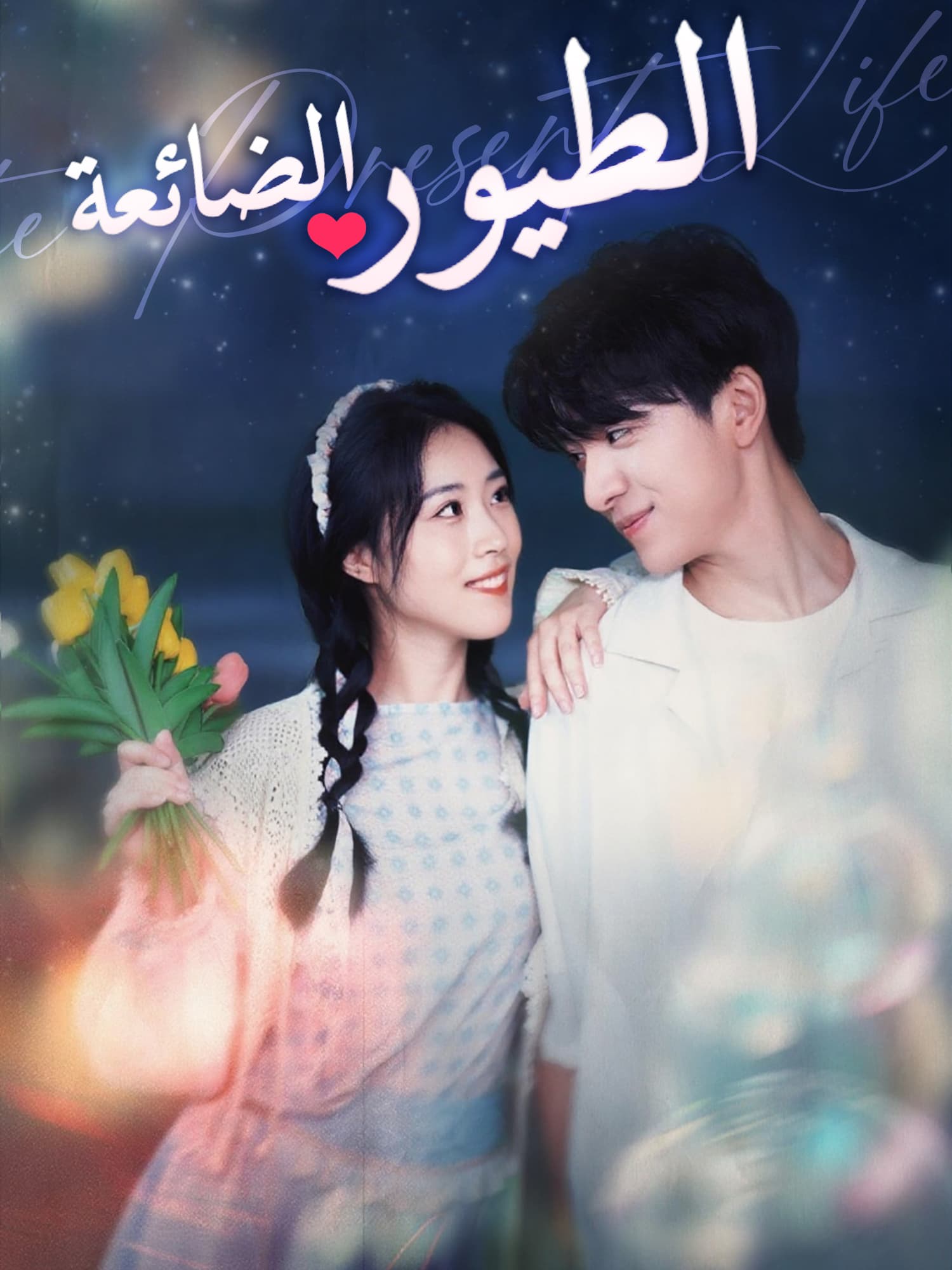 الطيور الضائعة