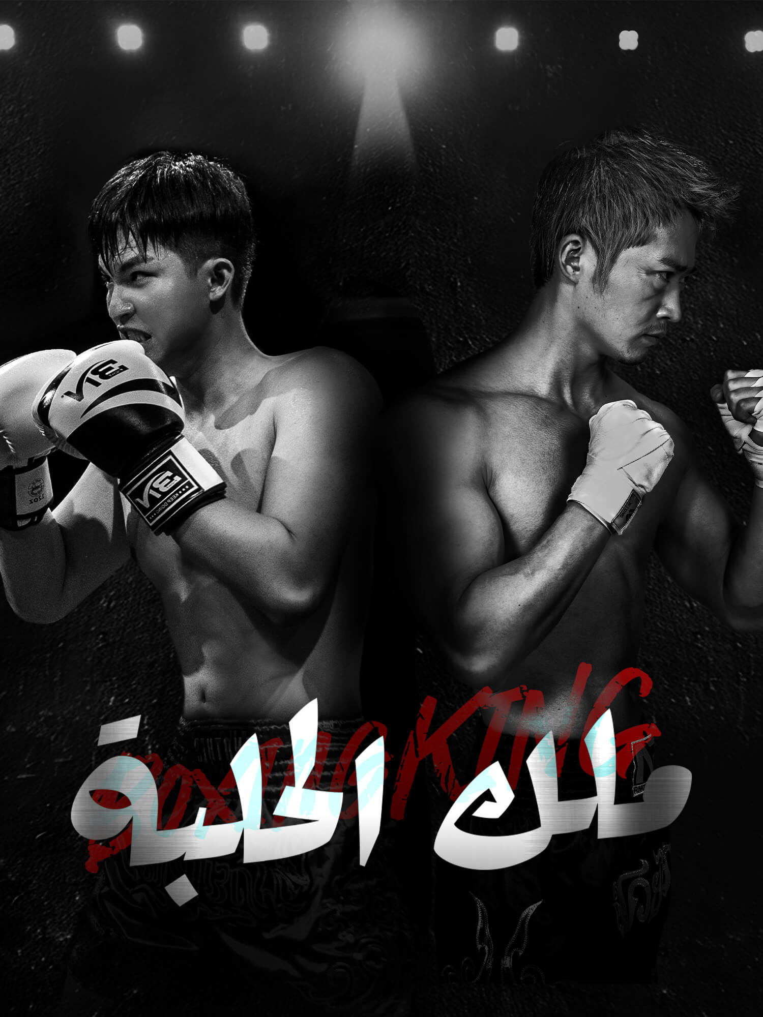 ملك الحلبة