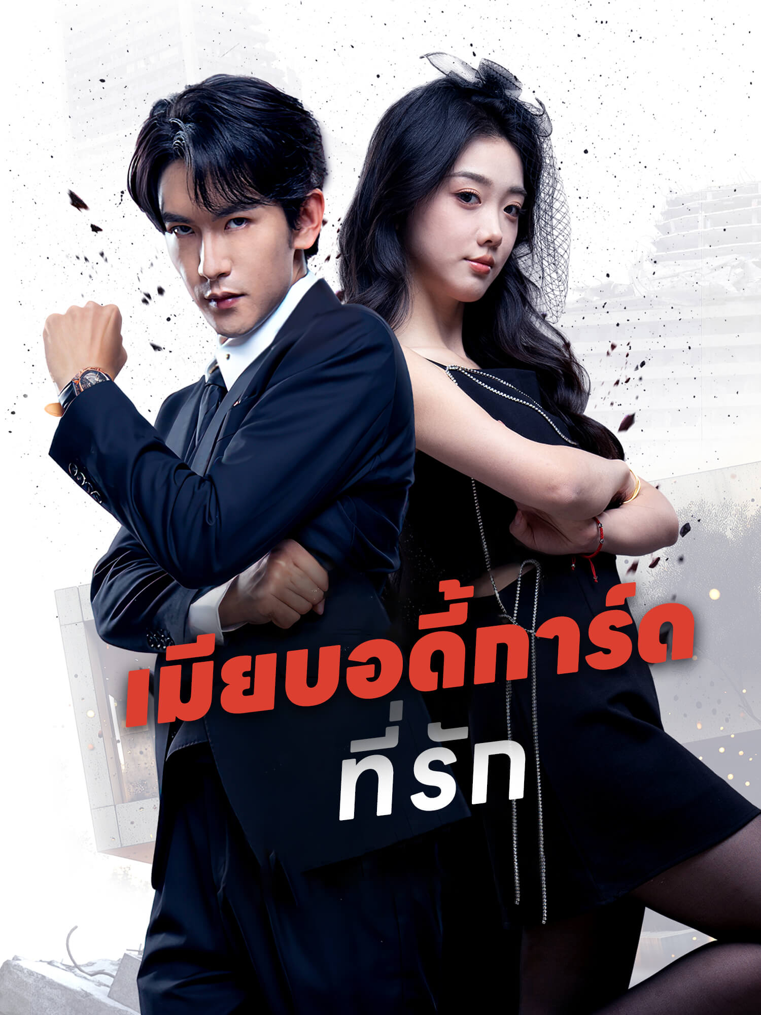 โปสเตอร์ เมียบอดี้การ์ดที่รัก