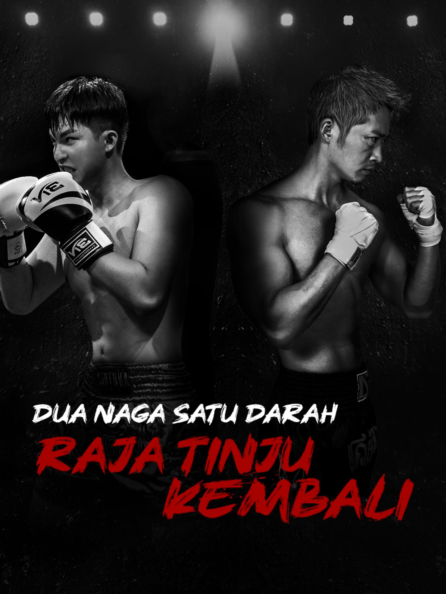 Sampul & Poster Drama Pendek Dua Naga Satu Darah: Raja Tinju Kembali