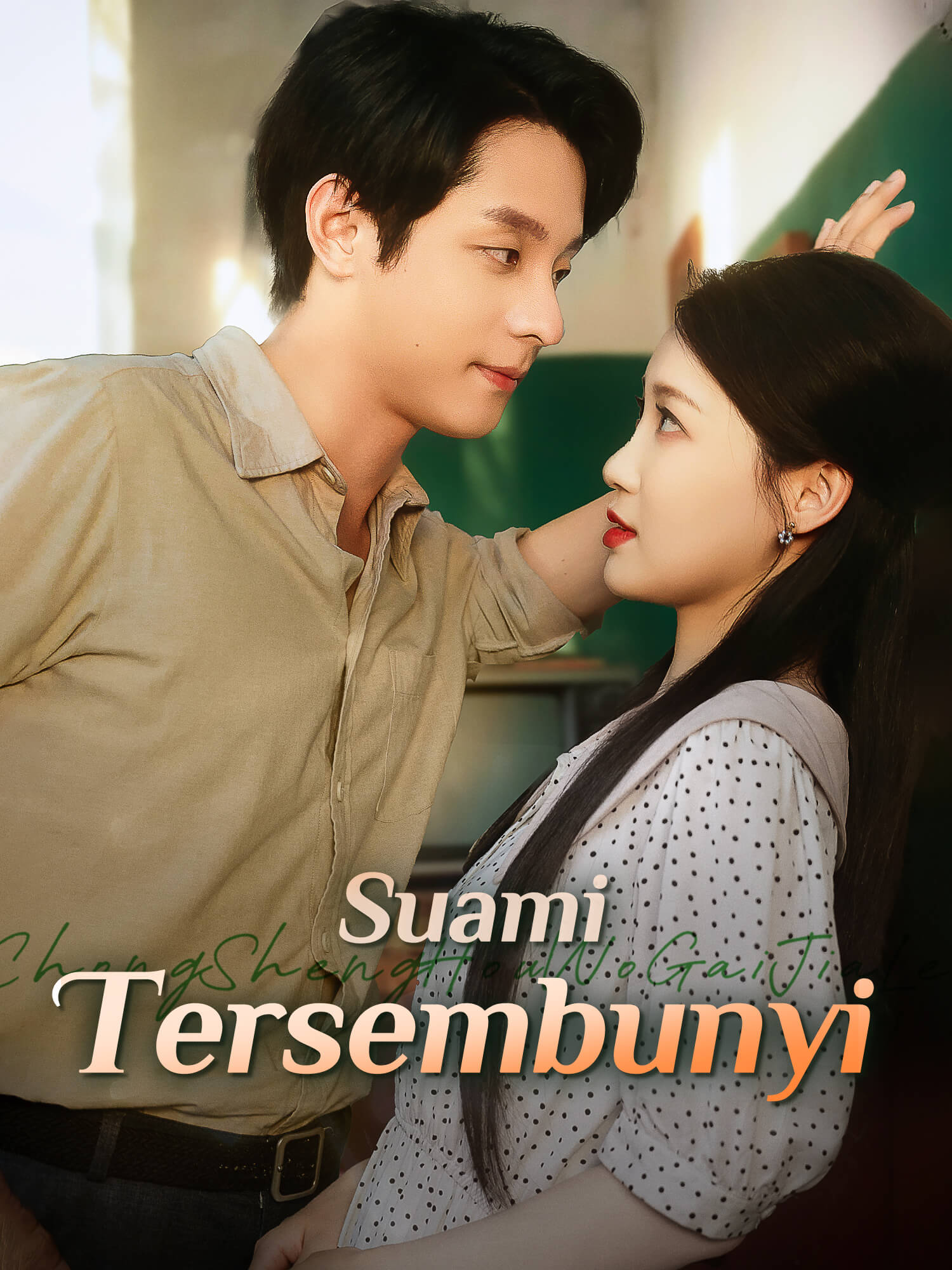 Suami Tersembunyi