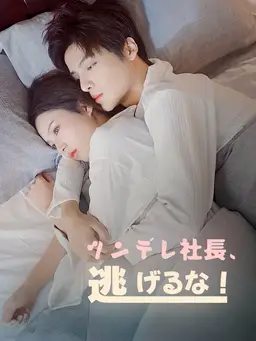 ツンデレ社長、逃げるな