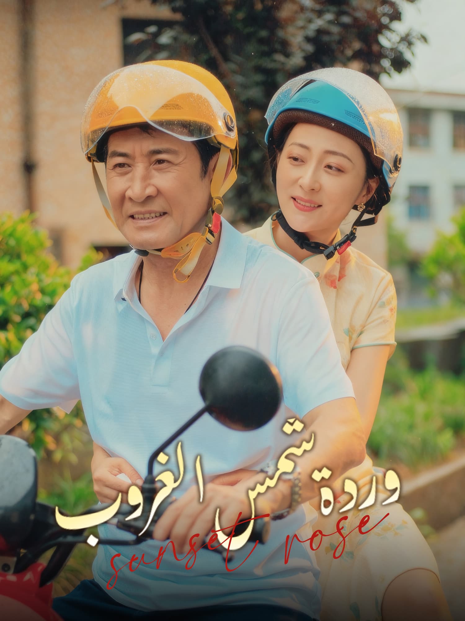 وردة شمس الغروب