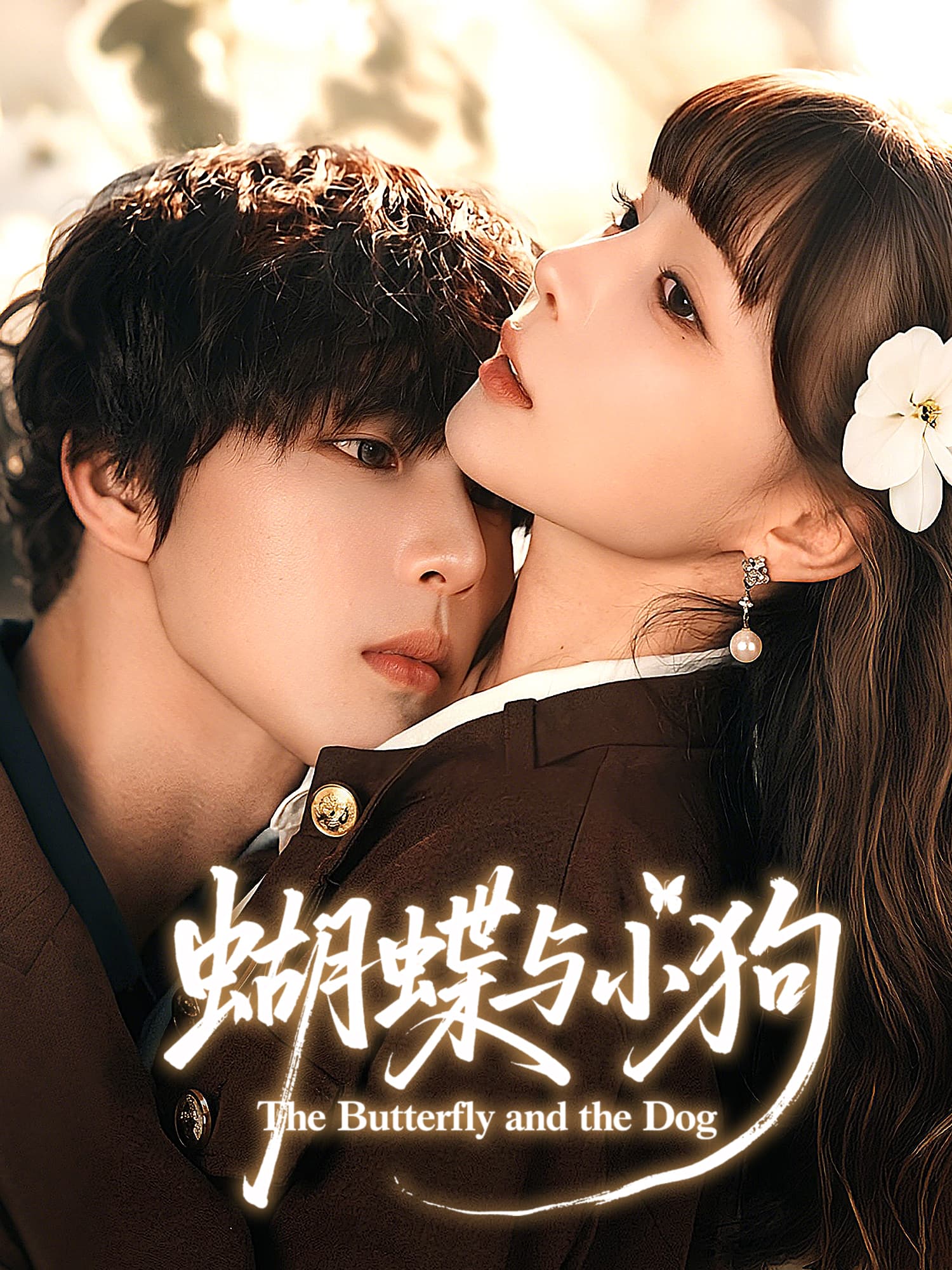 蝴蝶与小狗 短剧封面与海报