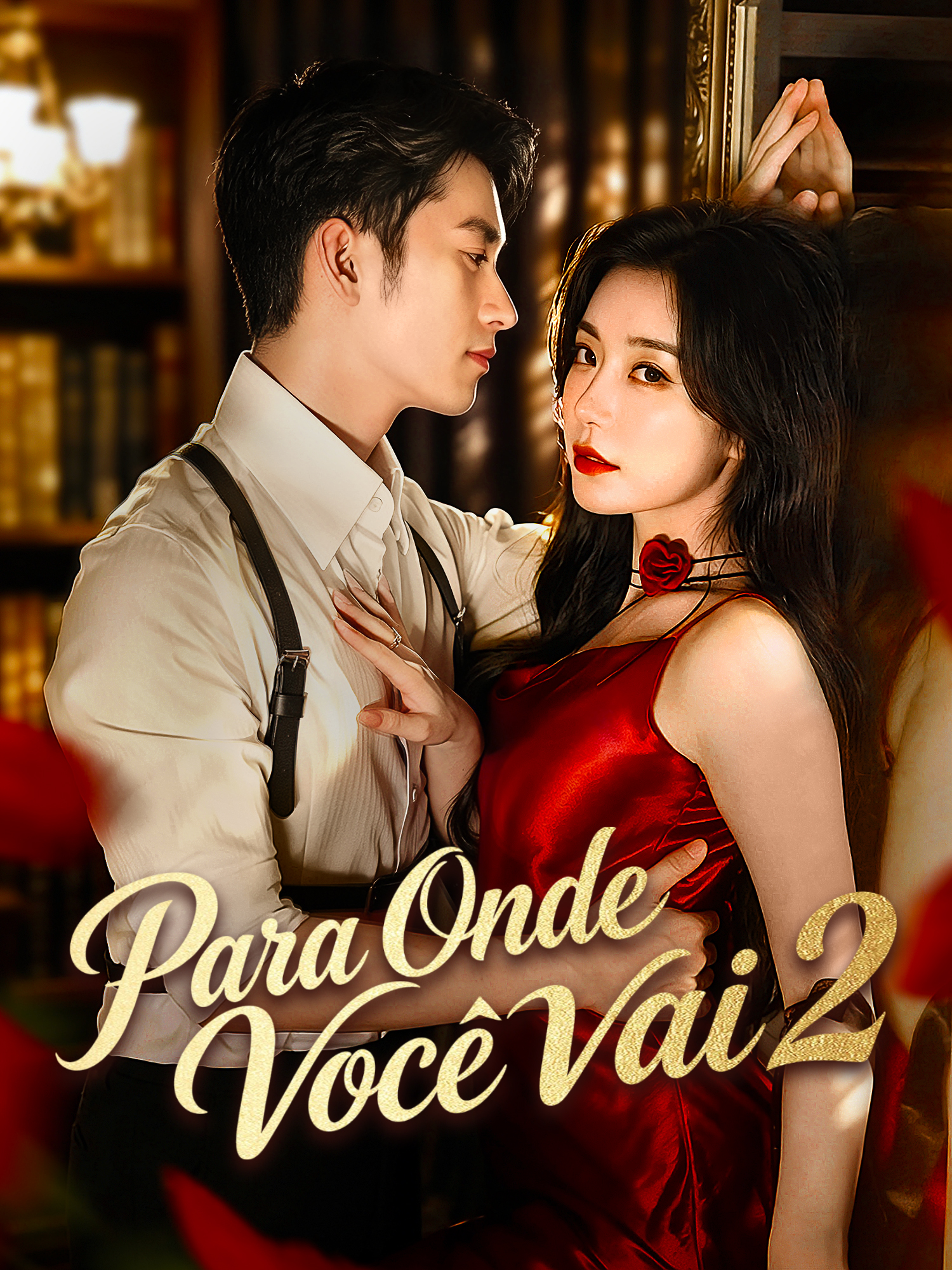 Capa e Pôster da Mini Novela Para Onde Você Vai 2