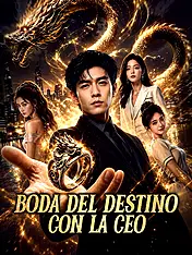 Portada de Boda del destino con la CEO drama corto (Contenidos verticales de)