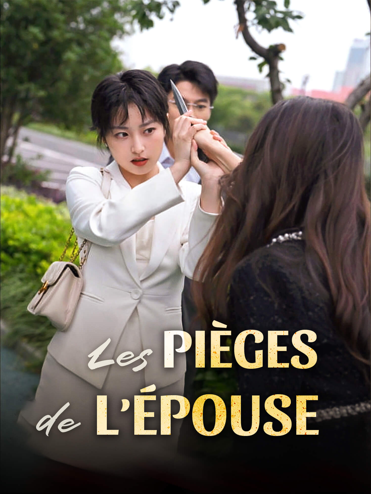 Affiche et Couverture de la Mini-série Les pièges de l’épouse