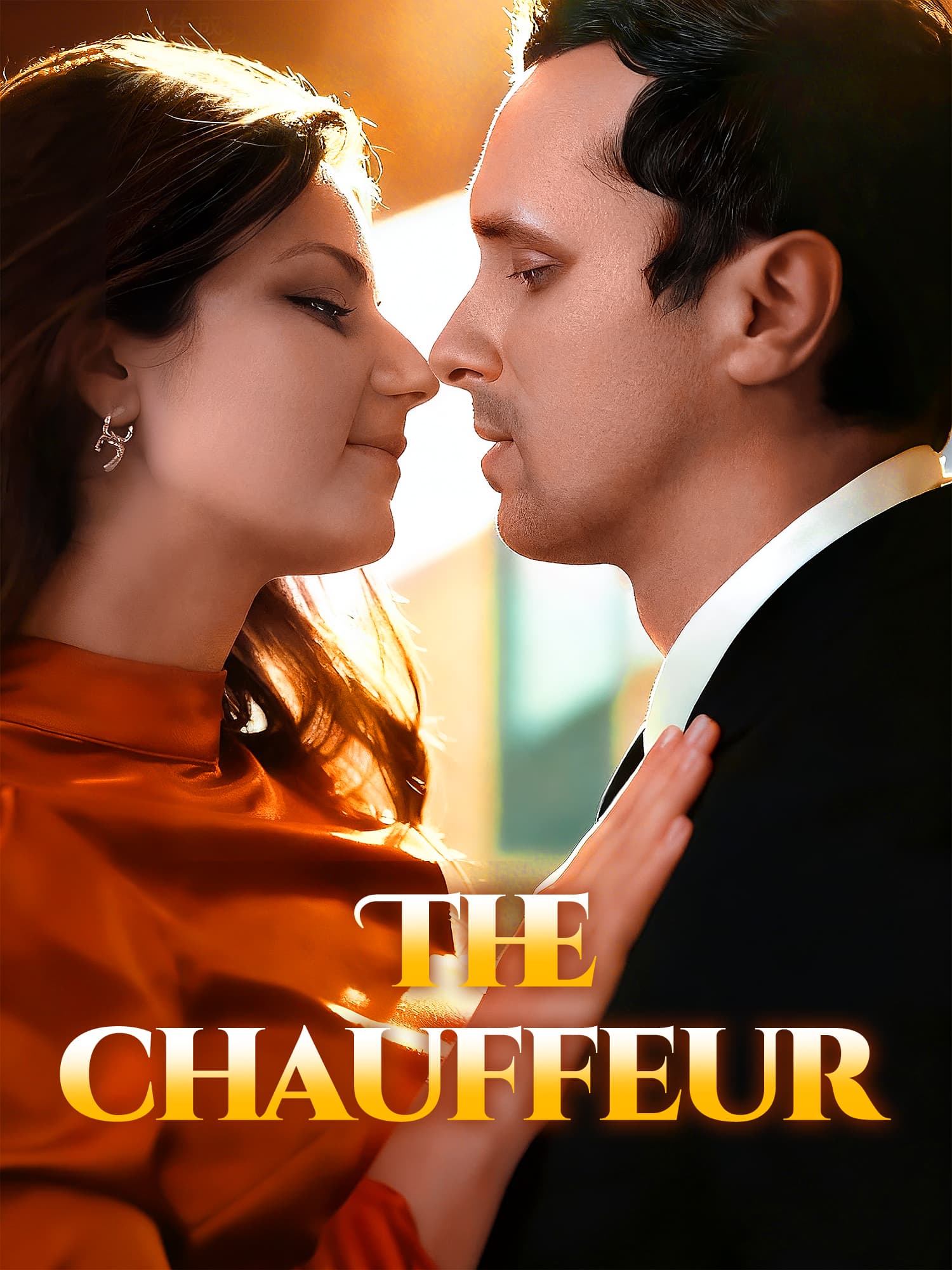 The chauffeur poster