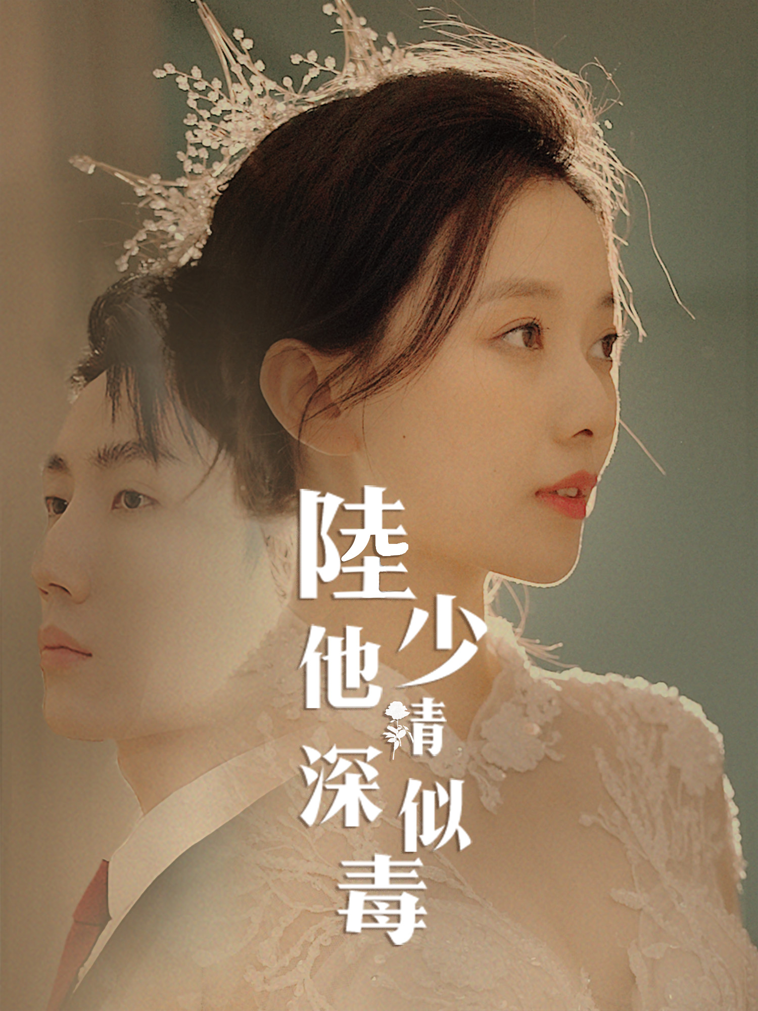 陸少他情深似毒