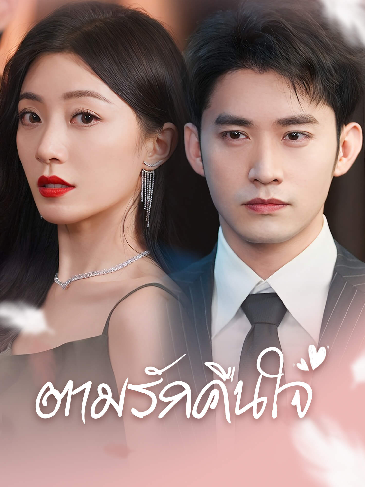 โปสเตอร์ ตามรักคืนใจ