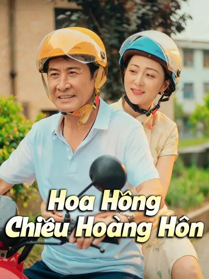 Hoa Hồng Chiều Hoàng Hôn