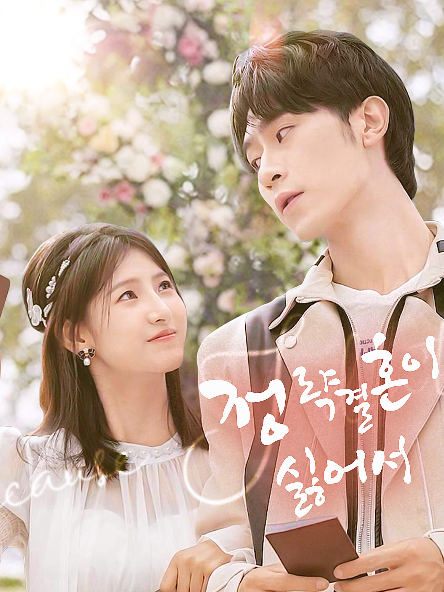 정략결혼이 싫어서