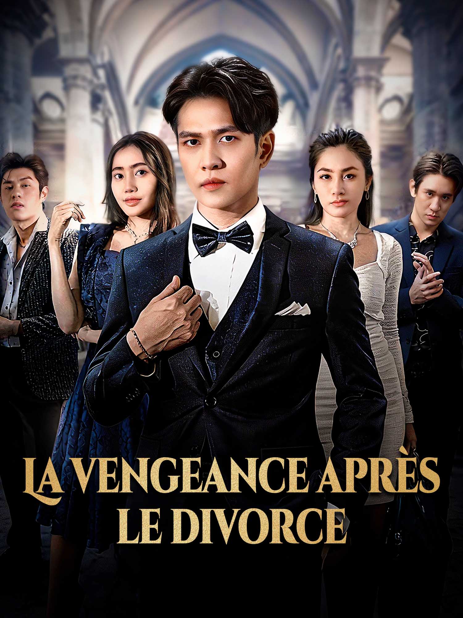 Affiche et Couverture de la Mini-série La vengeance après le divorce