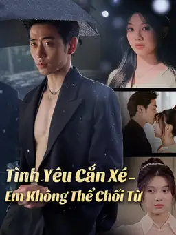 Tình Yêu Cắn Xé – Em Không Thể Chối Từ