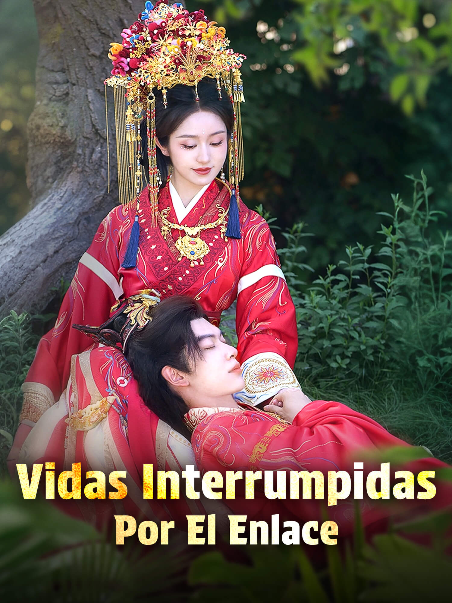 Vidas Interrumpidas por el Enlace
