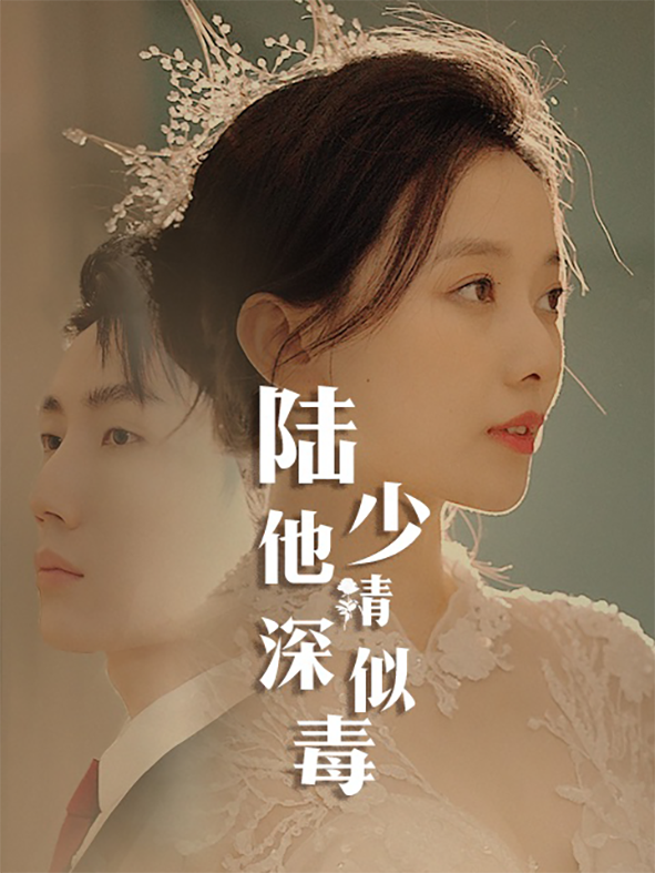 陆少他情深似毒