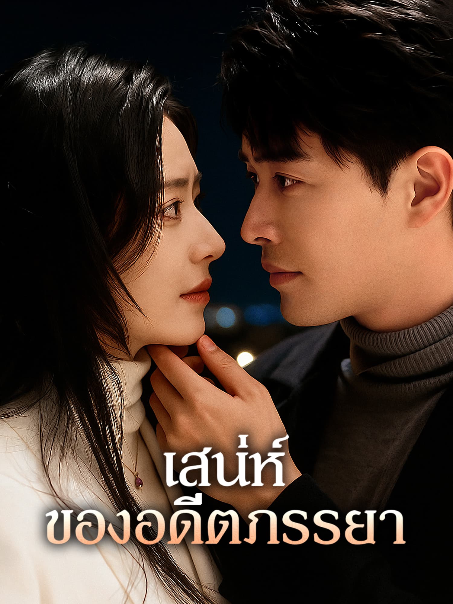 โปสเตอร์ เสน่ห์ของอดีตภรรยา