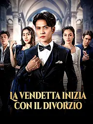 Copertina e Poster della Mini Serie La vendetta inizia con il divorzio