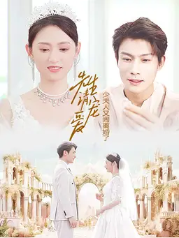 先生请宠爱,少夫人又闹离婚了