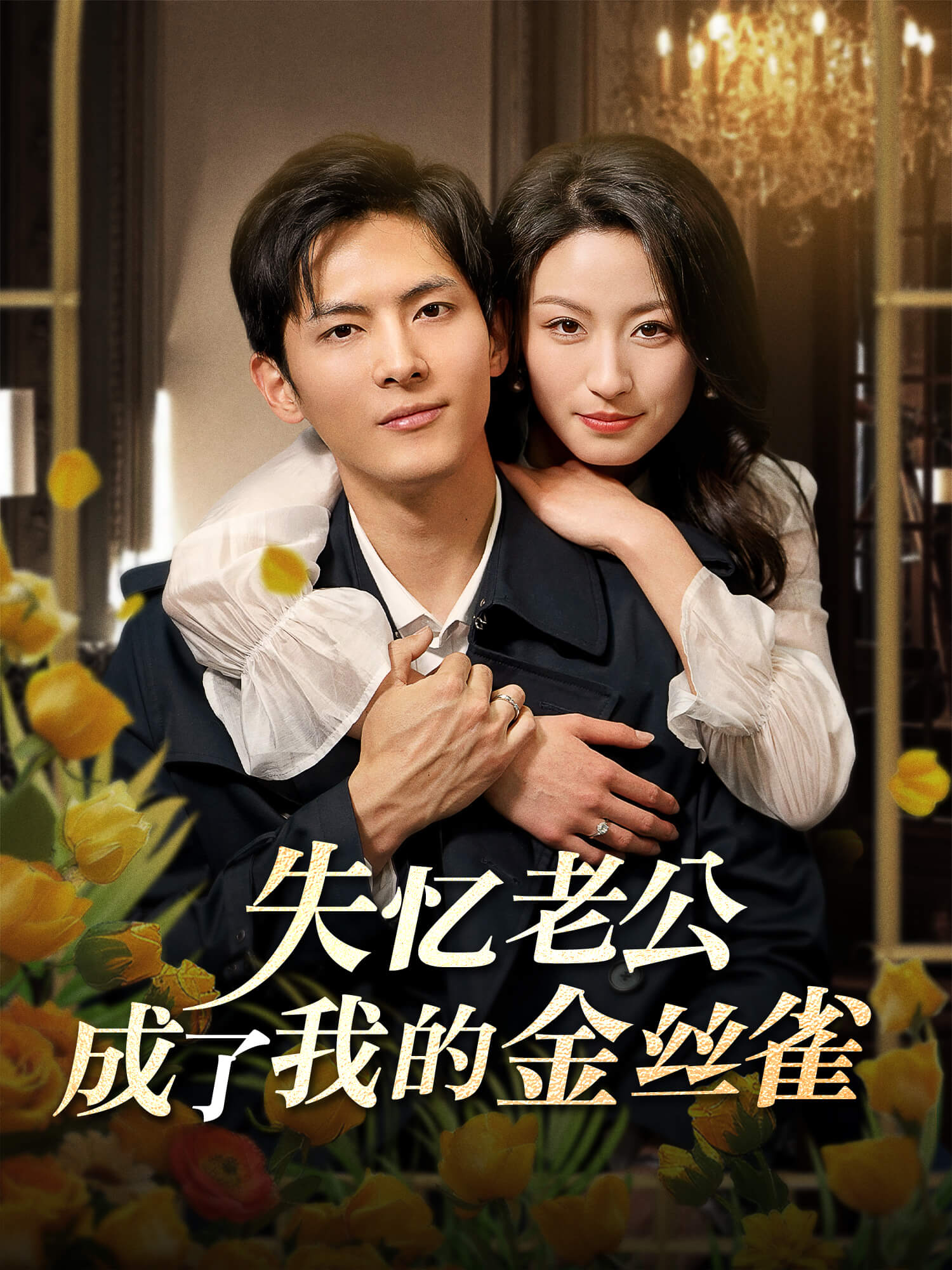 失忆老公成了我的金丝雀