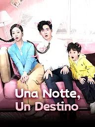 Copertina e Poster della Mini Serie Una Notte, Un Destino