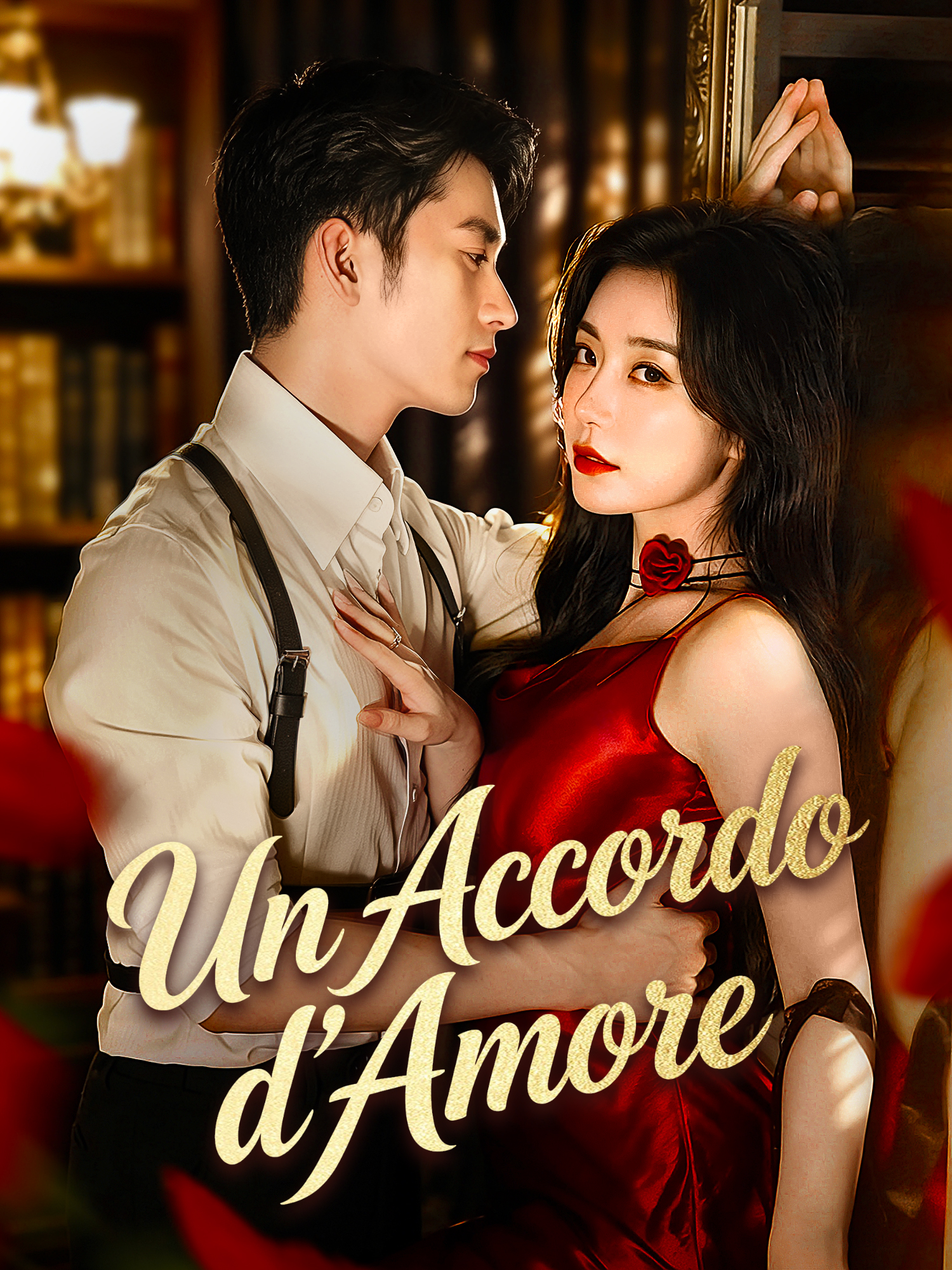 Copertina e Poster della Mini Serie Un Accordo d'Amore