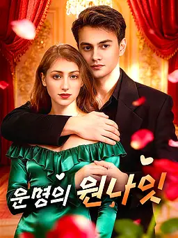 운명의 원나잇 온라인 시청 및 다국어 자막 제공