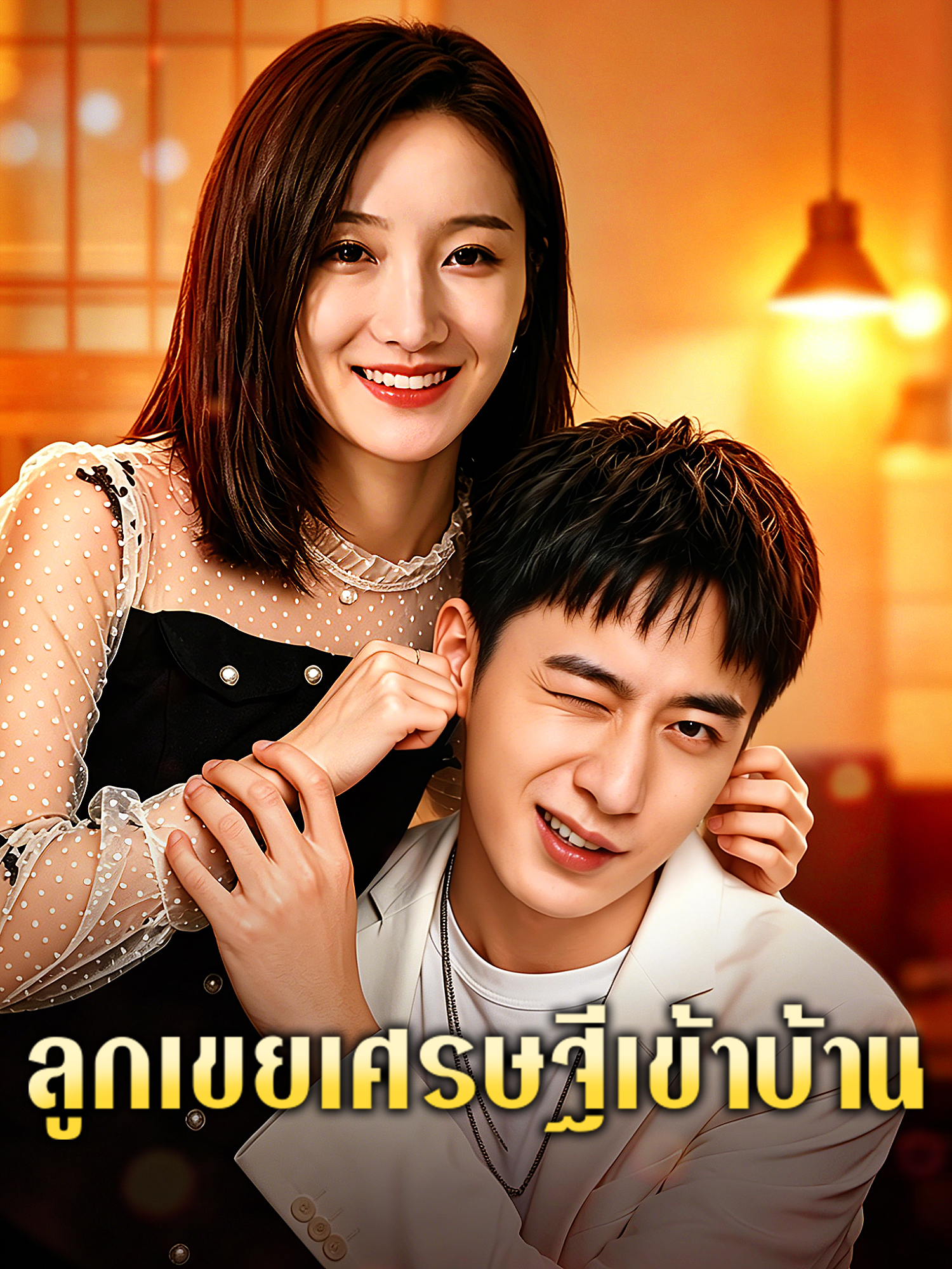 โปสเตอร์ ลูกเขยเศรษฐีเข้าบ้าน